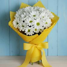 Букет цветов из:  Хризантемы в Тульском Республика Адыгея