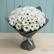 Букет цветов из:  Хризантемы #REPLACE_PRED# Тульском Республика Адыгея