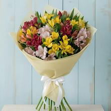 Букет цветов из:  Альстромерии в Тульском Республика Адыгея
