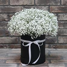 Цветочная композиция из Гипсофила в шляпной коробке #REPLACE_PRED# Тульском Республика Адыгея