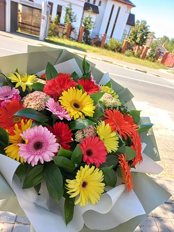 Букет цветов из: Герберы в Тульском Республика Адыгея